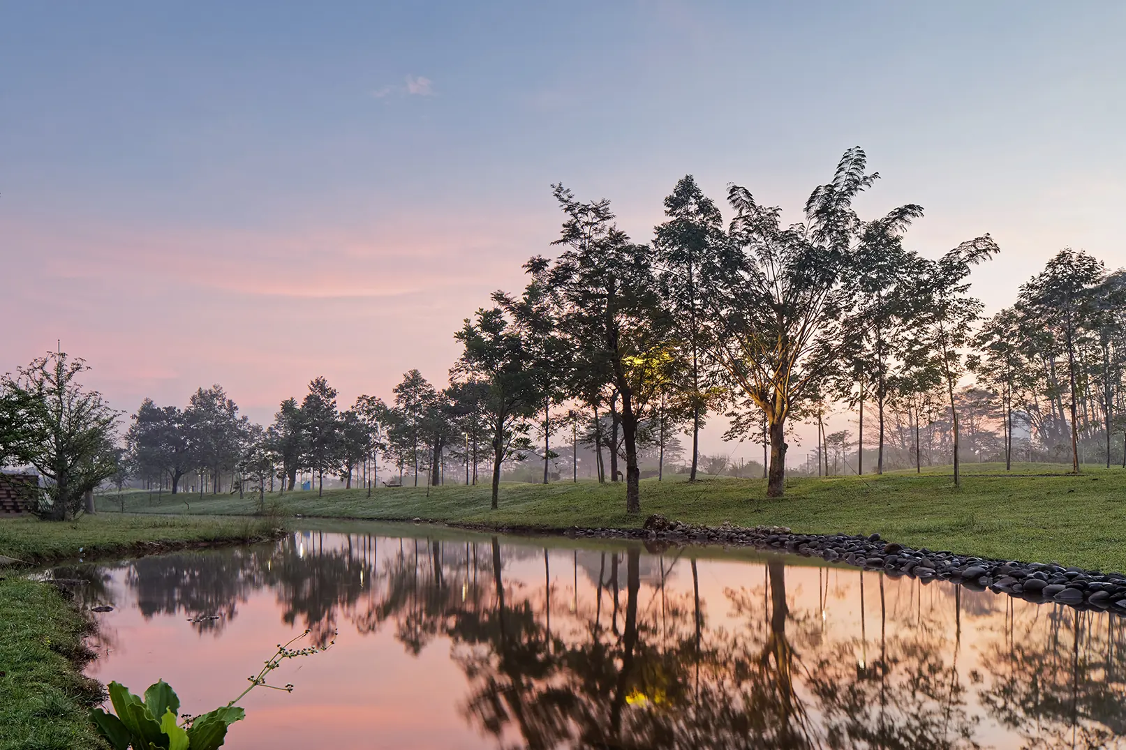 Lake at the Botanic Park at dusk
